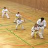 images/karate/Training mit Julian Chees/traing_mit_julian_chees_7_20161022_1447282350.jpg